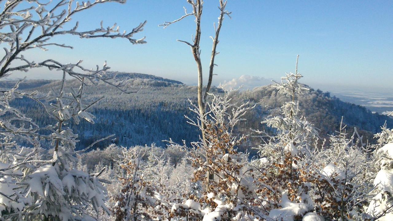 Horska Chata Hubert Bedřichov Exteriér fotografie